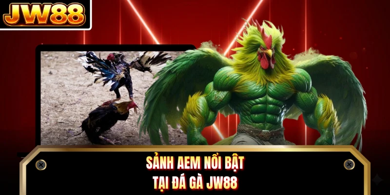 Sảnh AEM nổi bật tại đá gà DN88